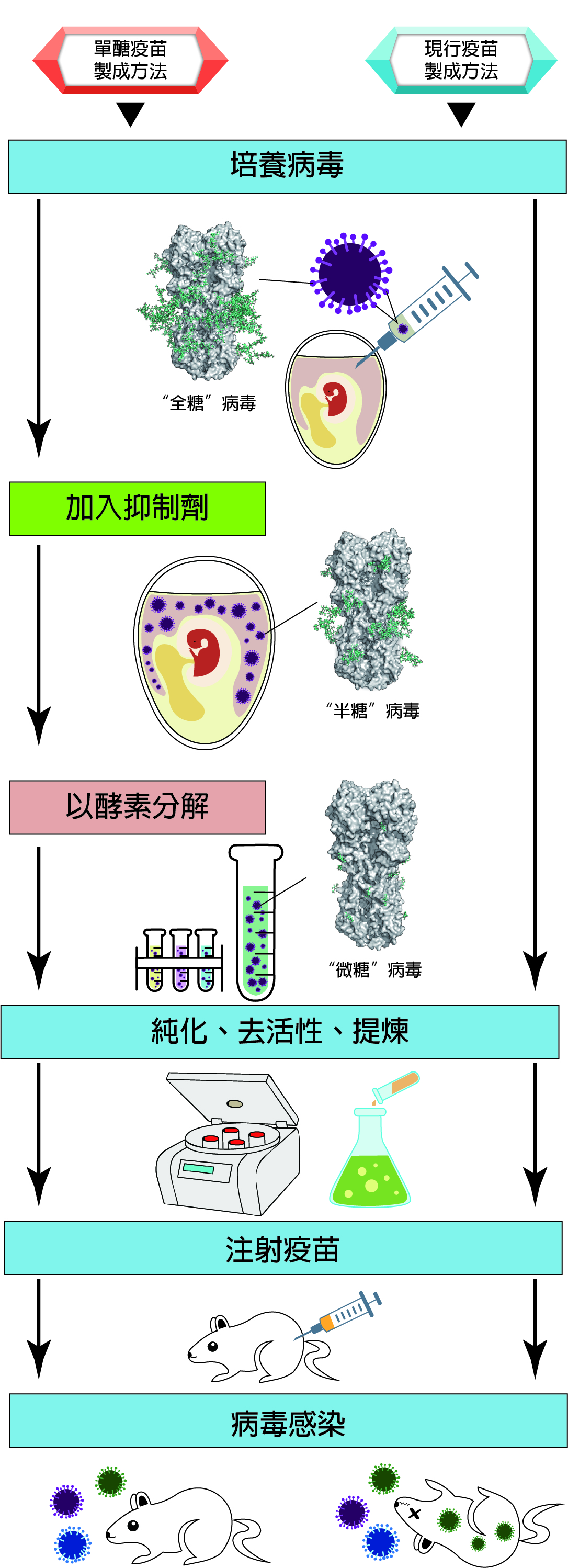 2019Influenza Vaccine fg CH 2019Influenza Vaccine fg CH