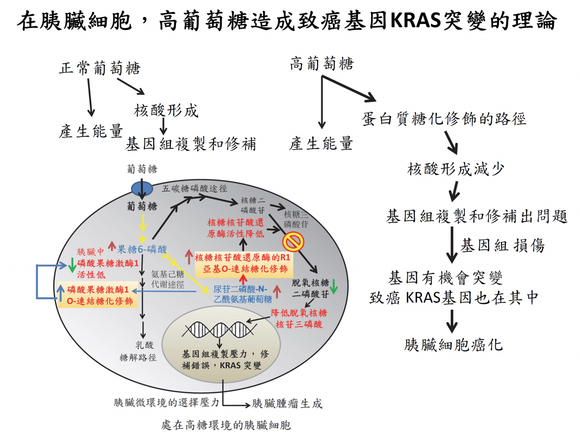 2019KRAS-Fg1-EN 2019KRAS-Fg1-EN