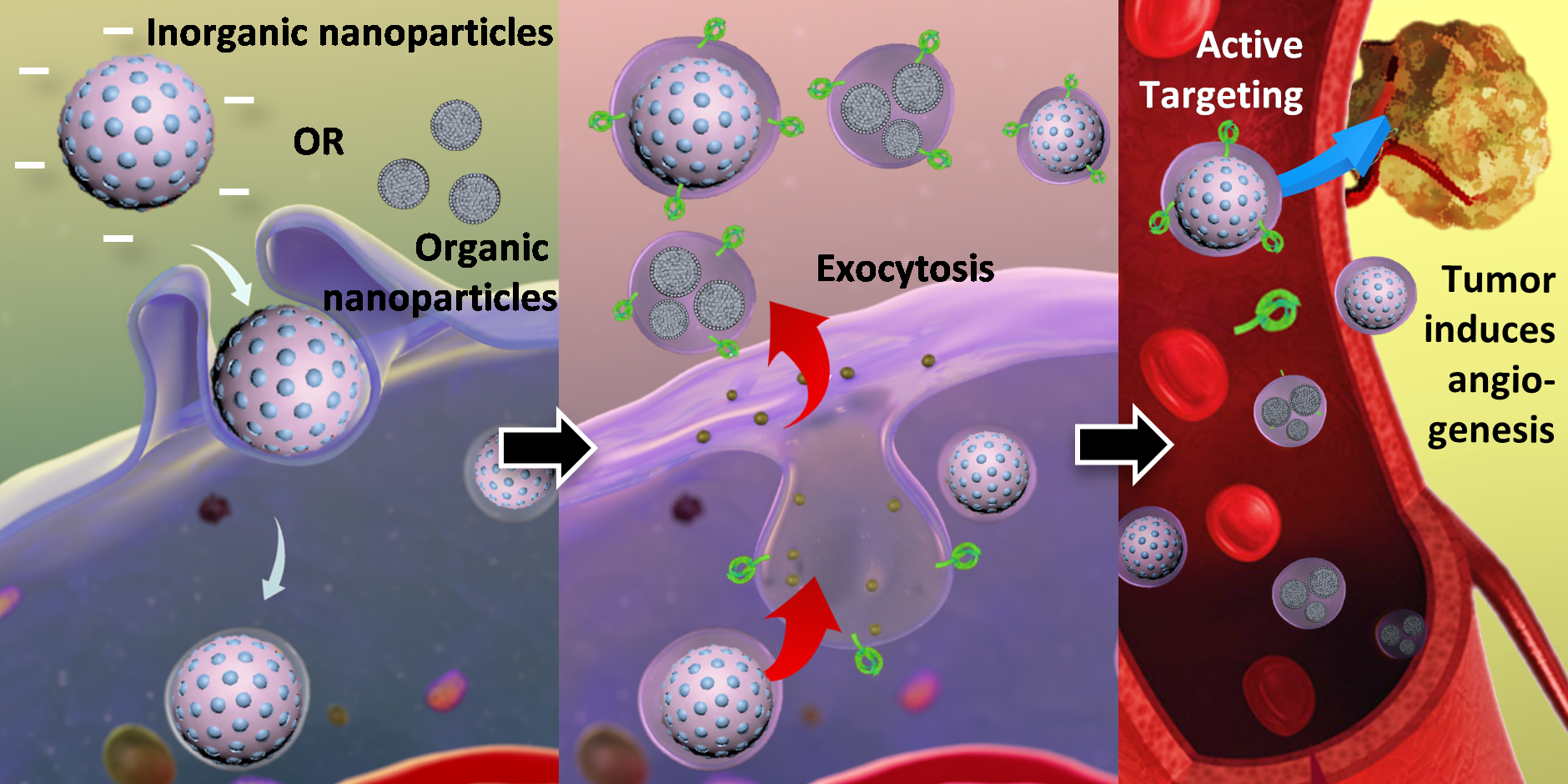 Integrated therapy platform of exosomal system: hybrid inorganic/organic nanoparticles with exosomes for cancer treatment Integrated therapy platform of exosomal system: hybrid inorganic/organic nanoparticles with exosomes for cancer treatment