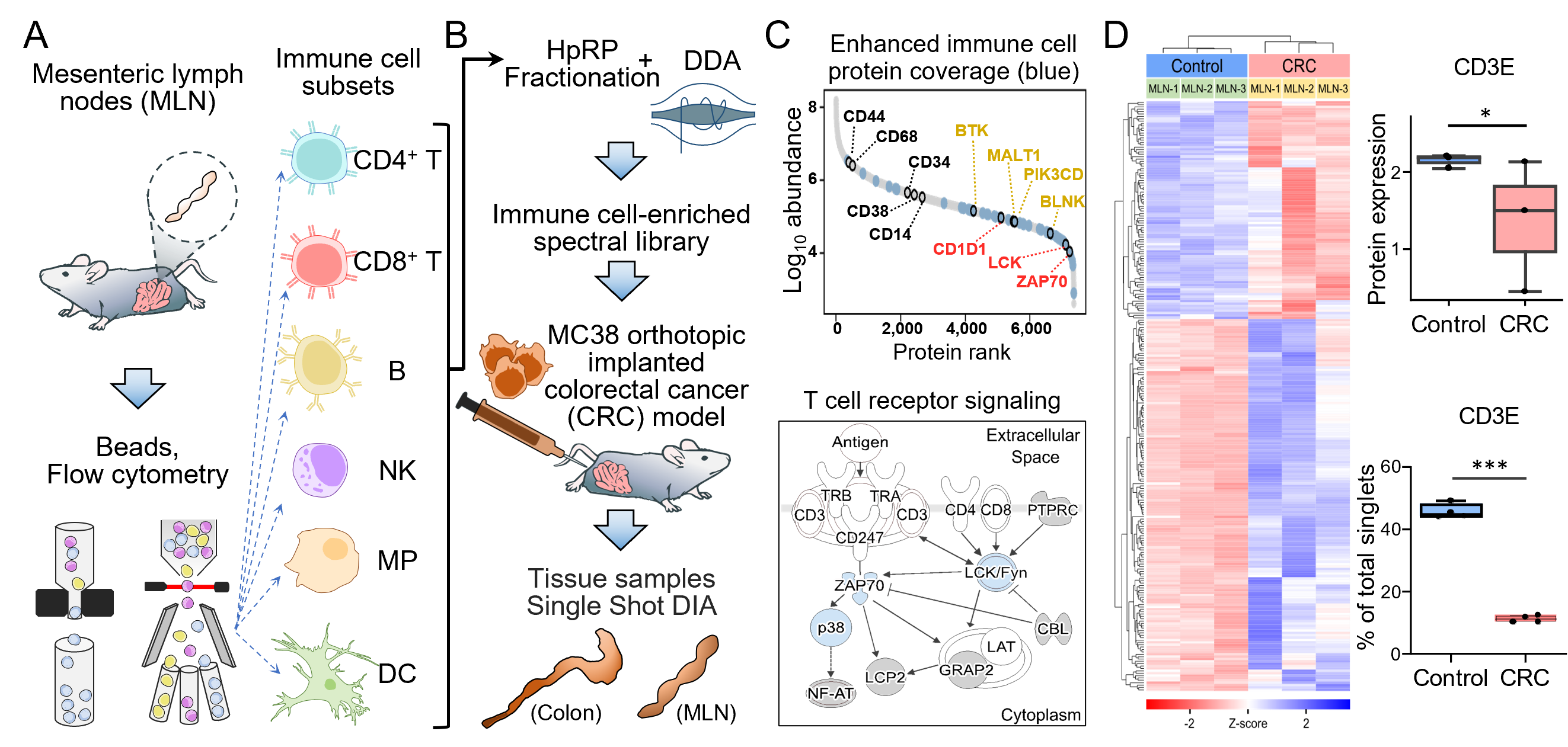 Enhanced Proteomic Coverage in Tissue Microenvironment by Immune Cell Subtype Library-assisted DIA-MS