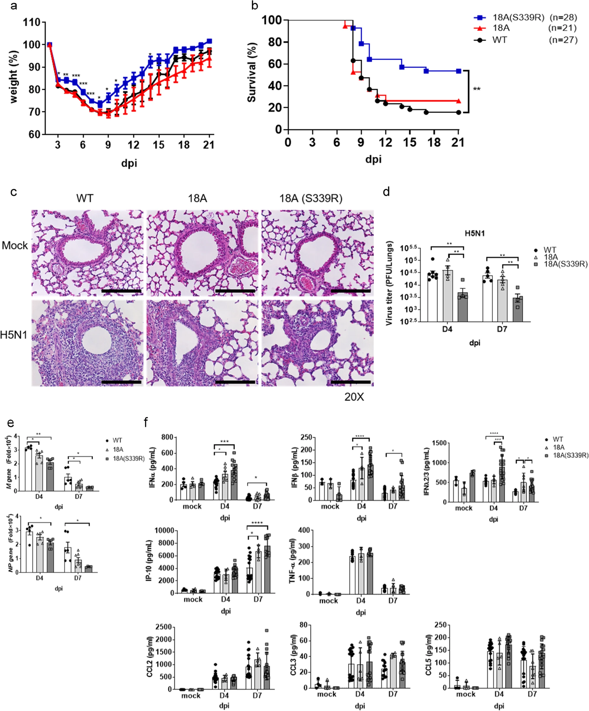 Endosomal TLR3 co-receptor CLEC18A enhances host immune response to viral infection Endosomal TLR3 co-receptor CLEC18A enhances host immune response to viral infection