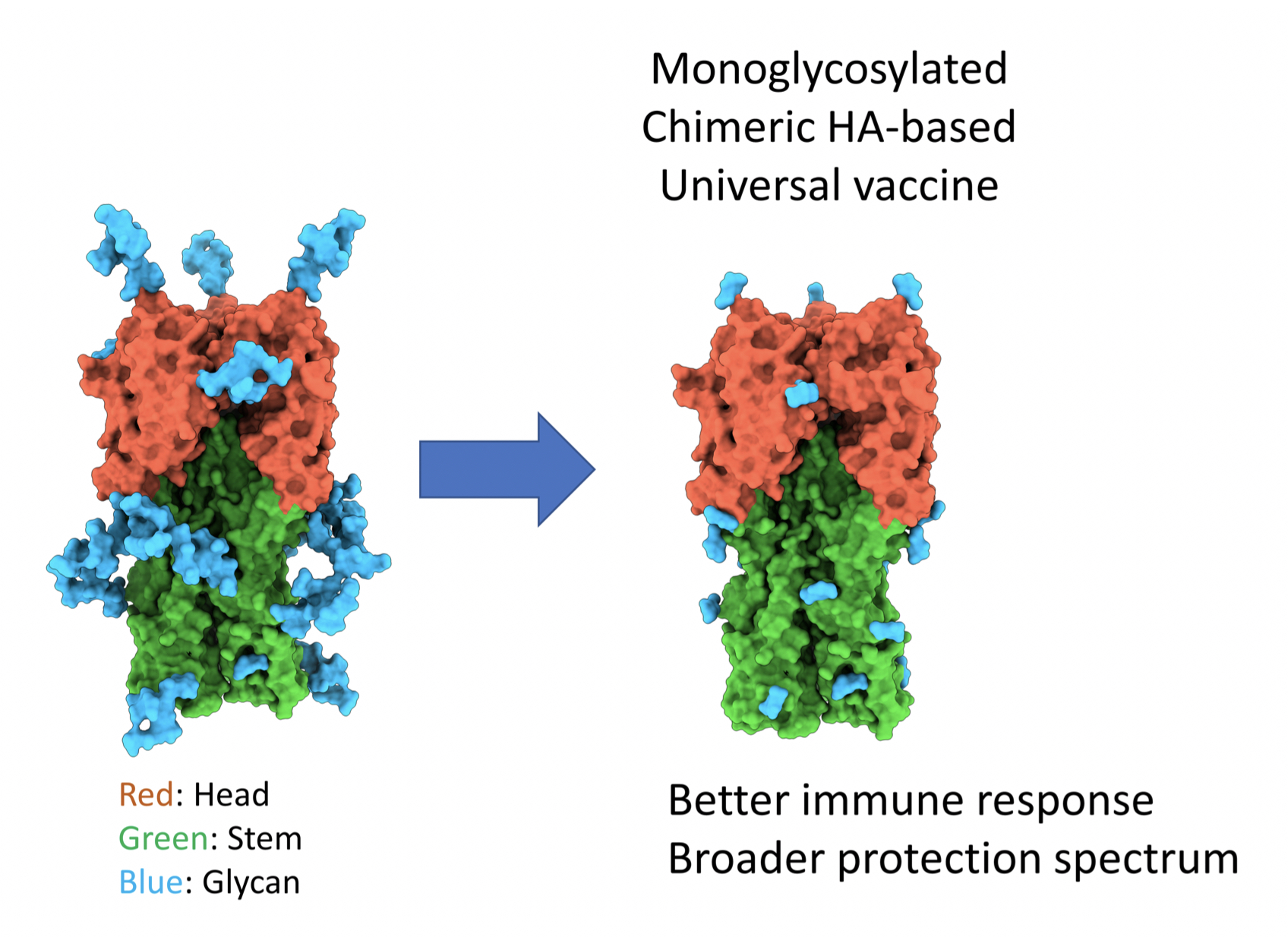 2020Flu Vaccine EN 2020Flu Vaccine EN