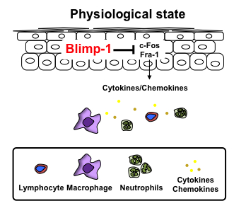 physiological state physiological state