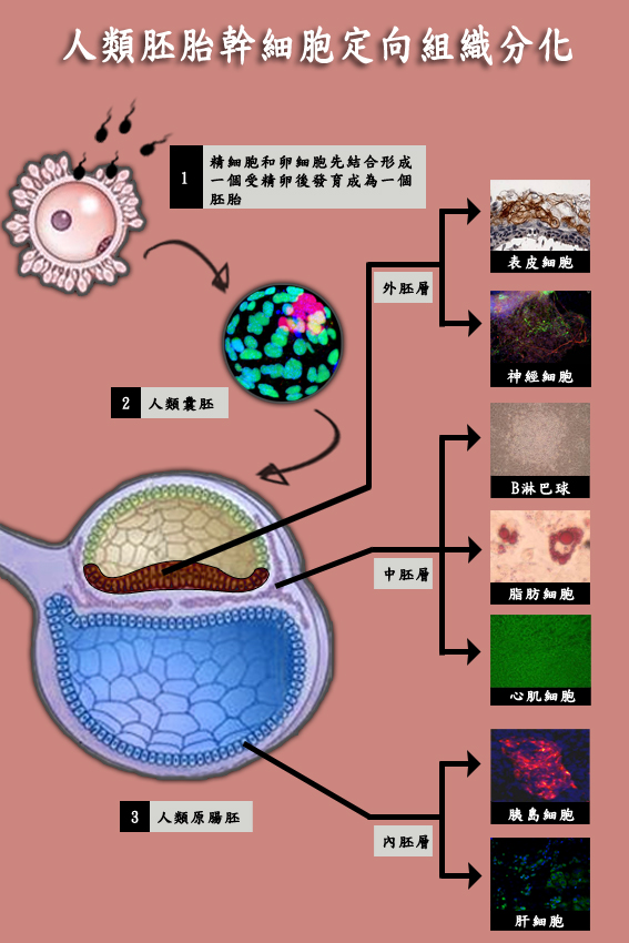 Cell-SurfaceCompounds-ch Cell-SurfaceCompounds-ch