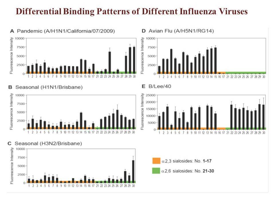 DifferentialBindingPatterns_ch DifferentialBindingPatterns_ch