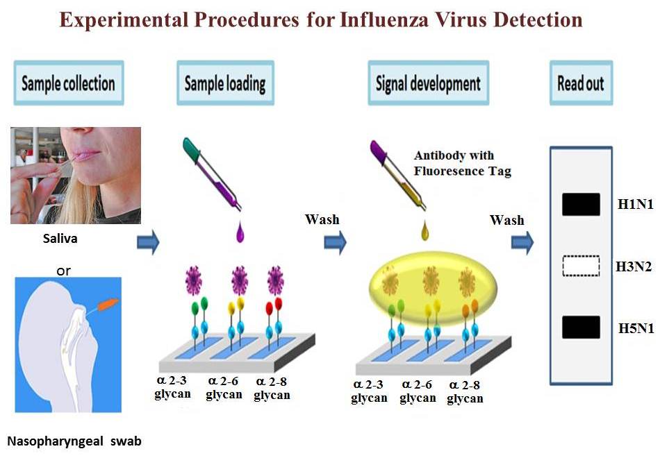 ExperimentalProcedures_ch ExperimentalProcedures_ch