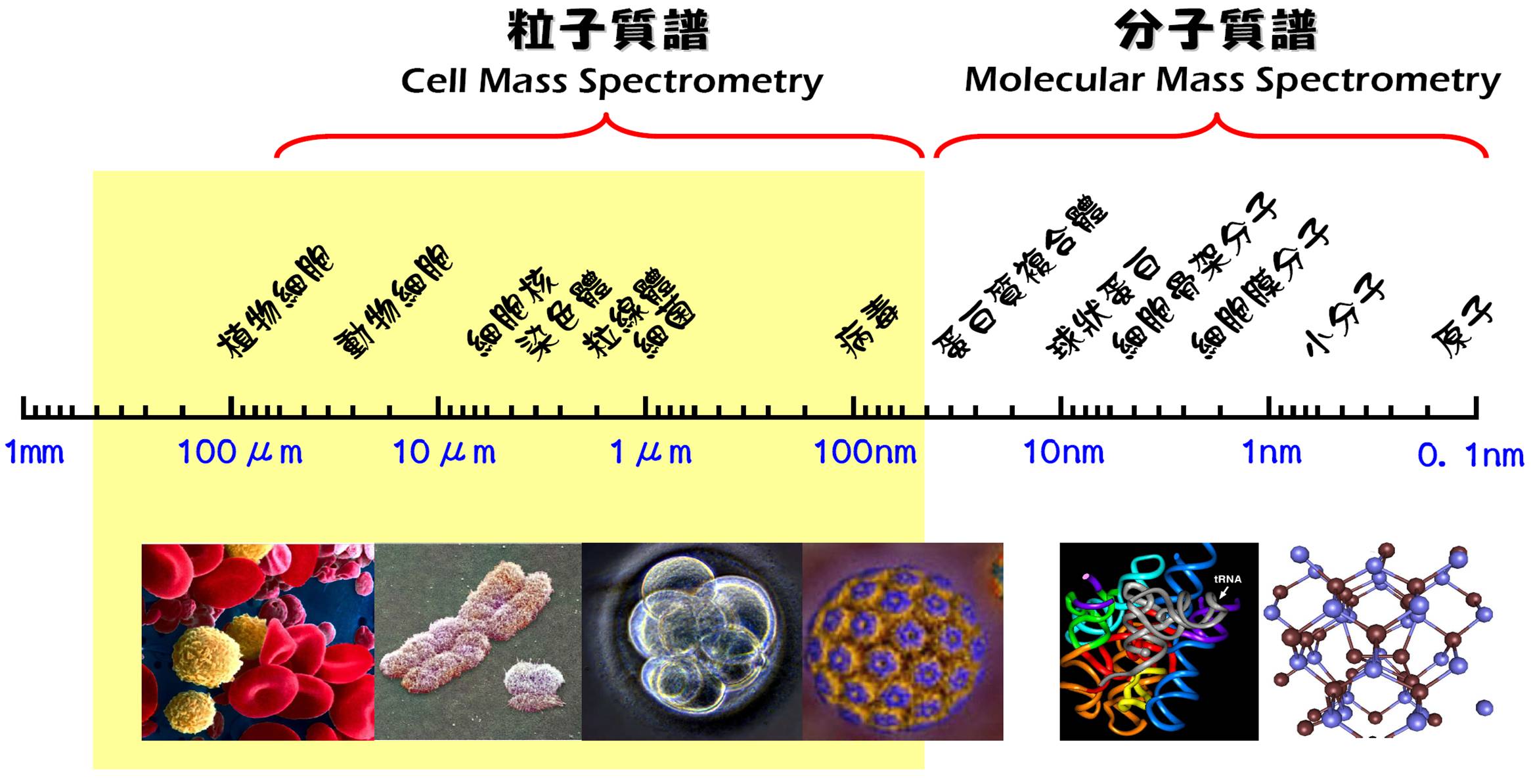 scale_diagram_ch scale_diagram_ch