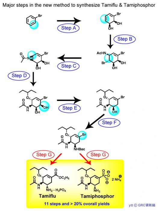 Major steps in the new method to synthesize Tamiflu & Tamiphosphor Major steps in the new method to synthesize Tamiflu & Tamiphosphor