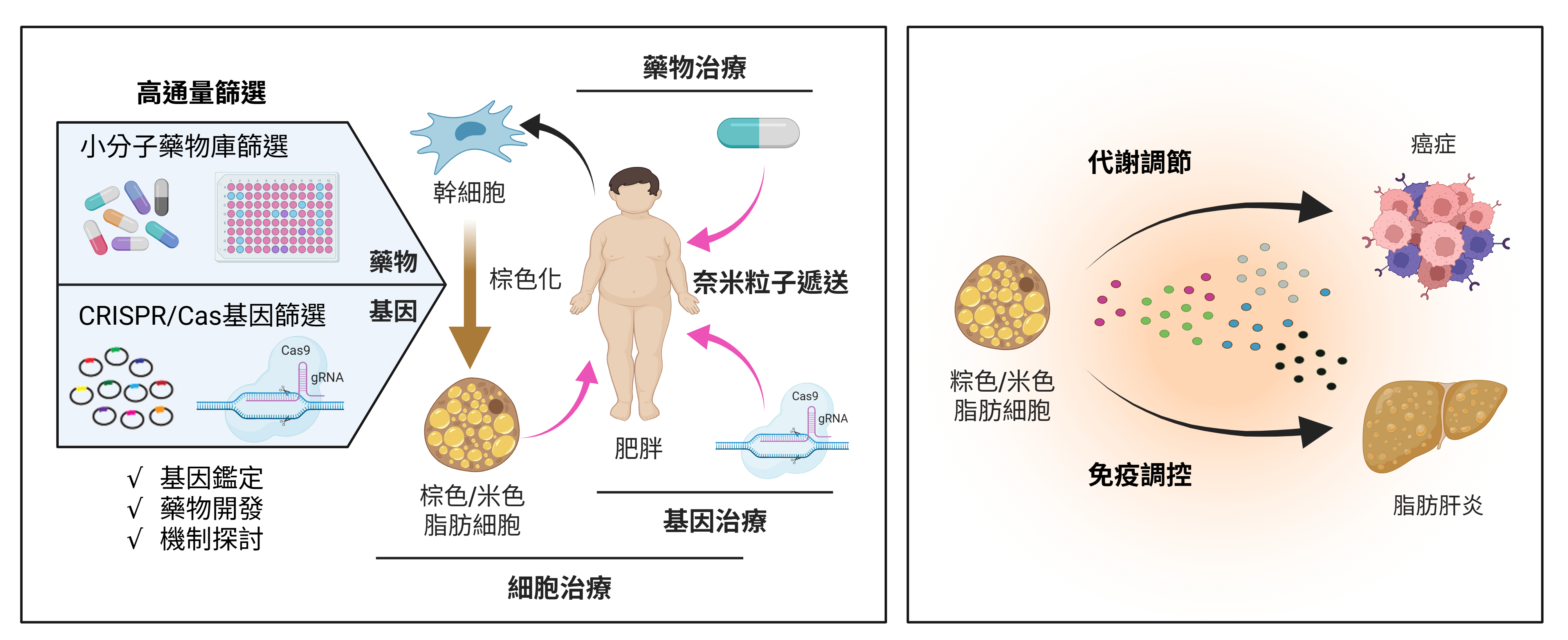 王志豪研究方向圖(中) 王志豪研究方向圖(中)