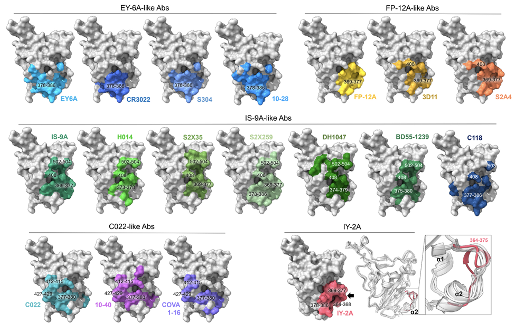 2023Structural basis F2 2023Structural basis F2