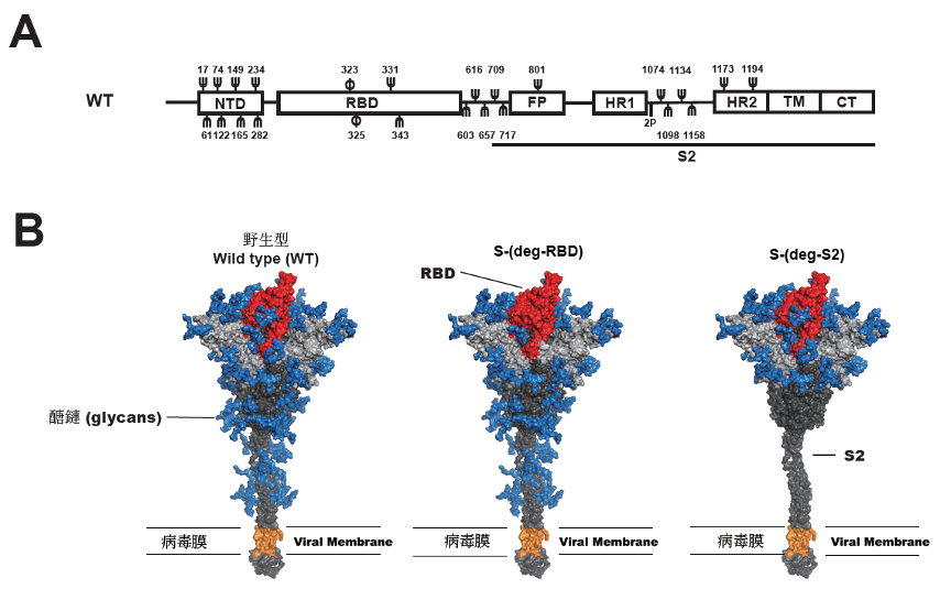 2022 RNA vaccine F1 2022 RNA vaccine F1
