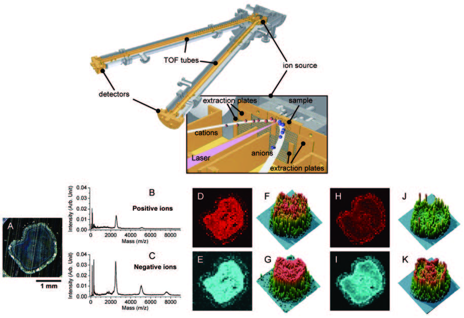 Dual-polarity imaging_mass Dual-polarity imaging_mass