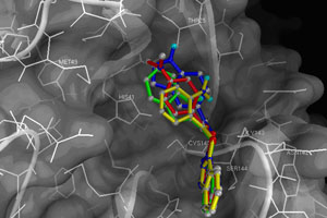 Scientists found element causes SARS virus commit suicide