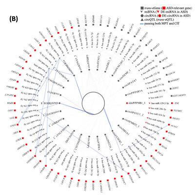Trans-genetic effects of circular RNA expression quantitative trait loci and potential causal mechanisms in autism
