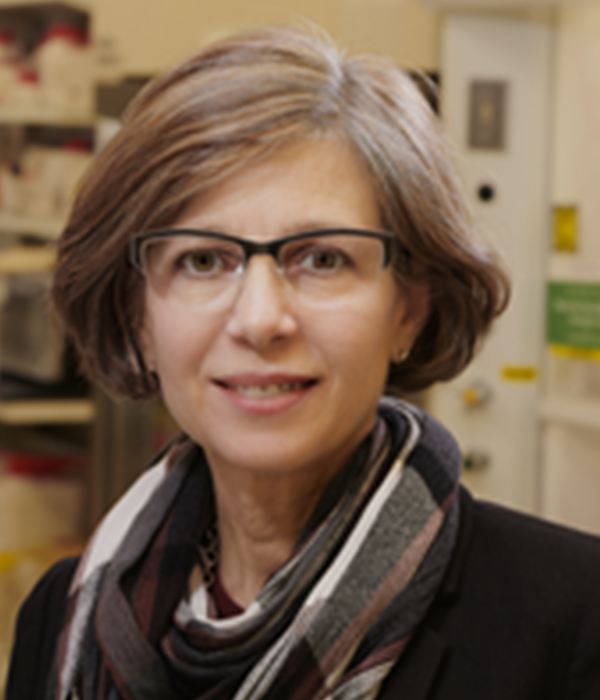 Jean E. Schaffer